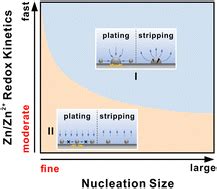 A homogeneous plating/stripping mode with fine grains for highly .